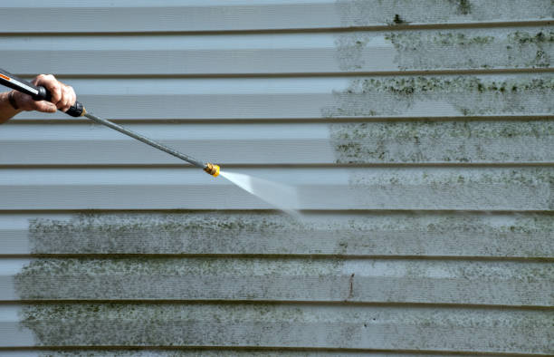 Best Warehouse Cleaning  in Nutter Fort, WV